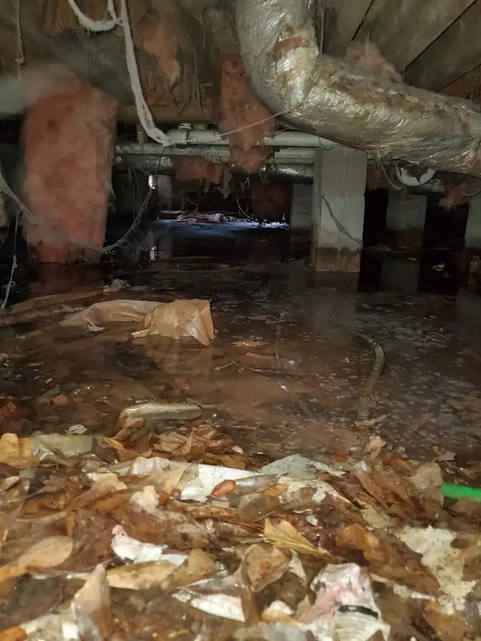 Crawl space flood assessment for Leak Detection & Repair in Bellbrook